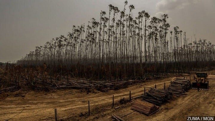 Brazil leader criticizes indigenous reserves as Amazon burns